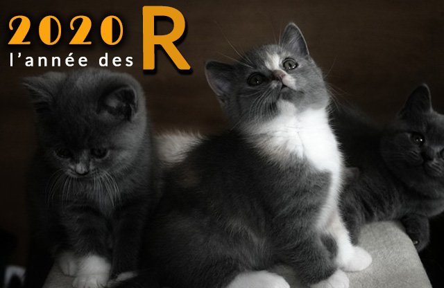 Année-des-R-5.jpg