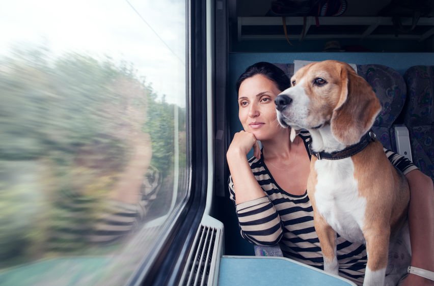 Voyager en train