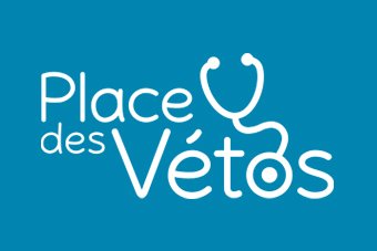 Place-des-vetos.jpg